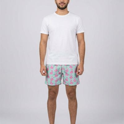 Swim Shorts